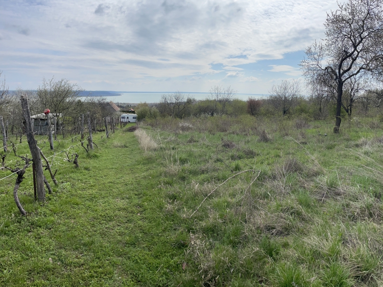 For sale Balatonalmádi