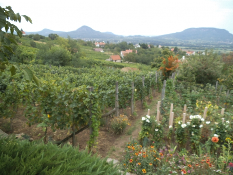 Eladó nyaraló Hegymagas  80 m<sup>2</sup> 60.4 millió Ft
