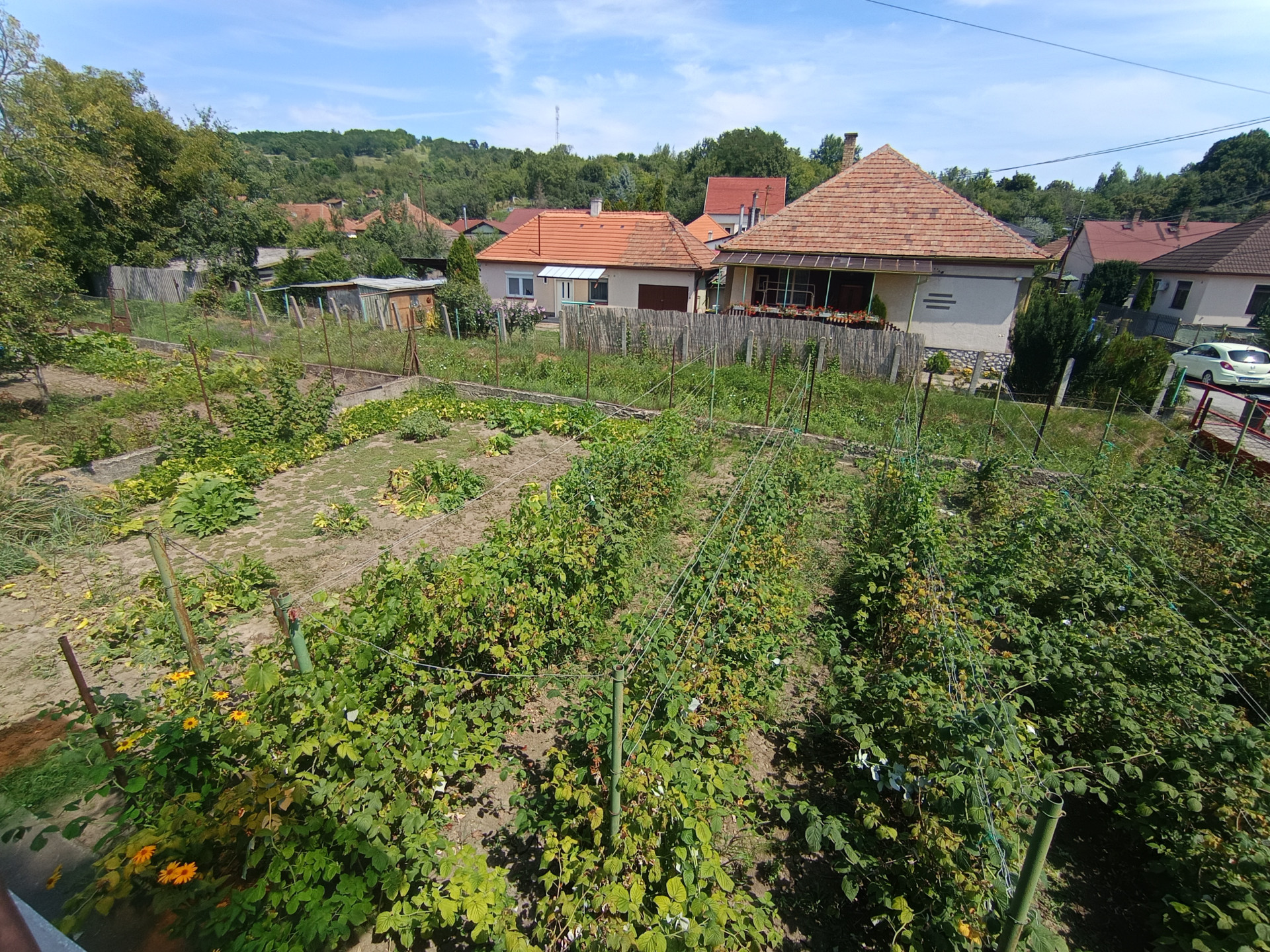A fájl már létezik a célhelyen: import/kepek/5370853.jpg
Eladó Családi ház Miskolc  130 m<sup>2</sup> 35.5 millió Ft
