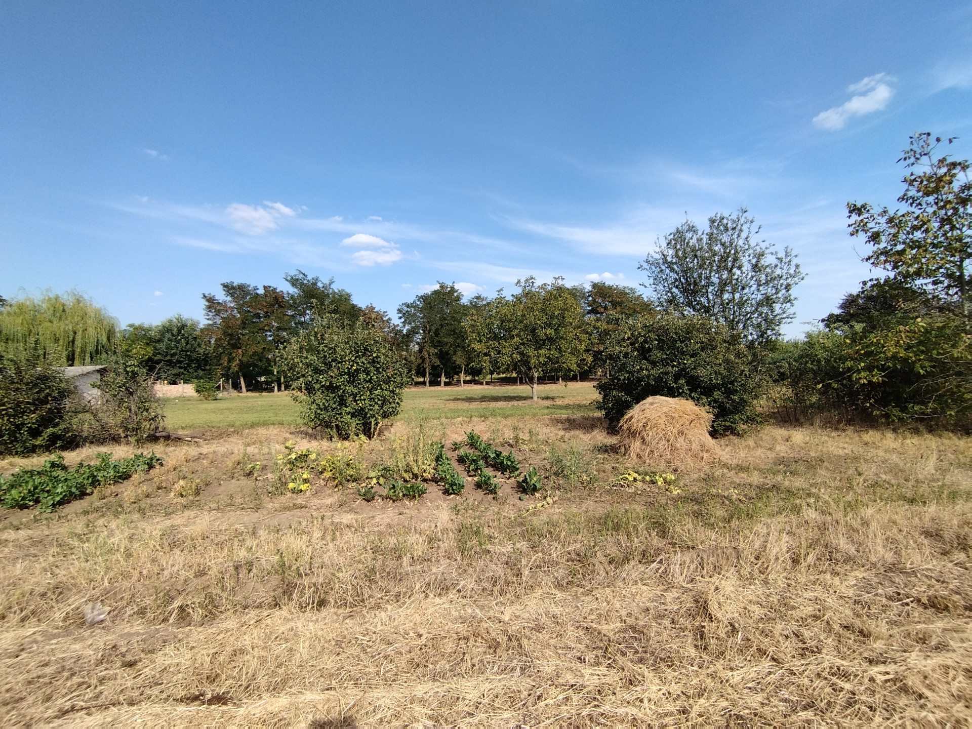 A fájl már létezik a célhelyen: import/kepek/5429662.jpg
For sale plot of land, building lot Rákóczifalva  752 m<sup>2</sup> 3.9 millió Ft