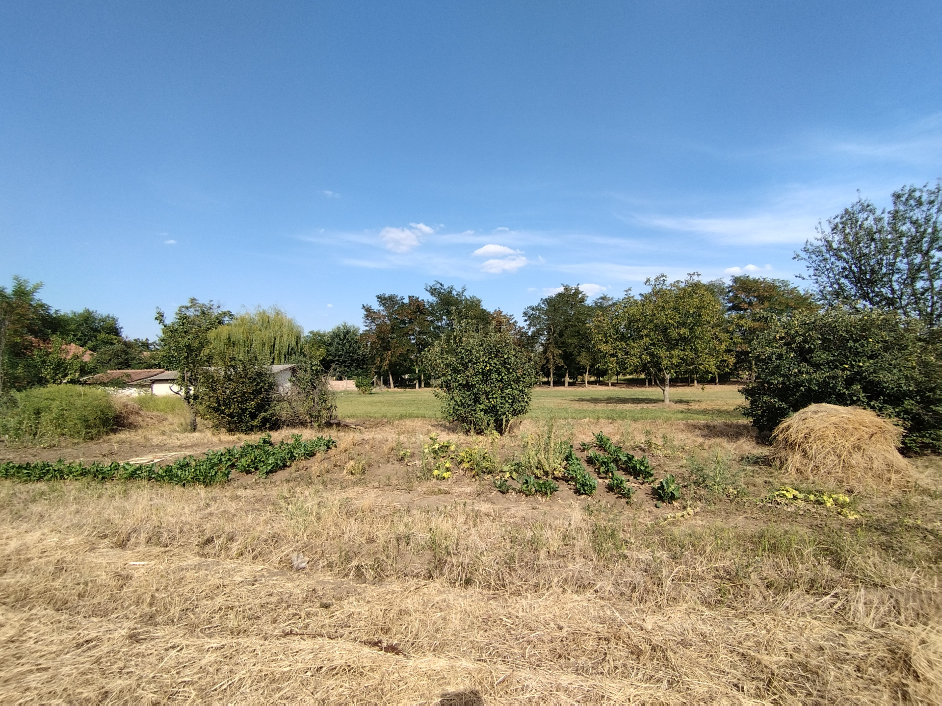 A fájl már létezik a célhelyen: import/kepek/5429664.jpg
For sale plot of land, building lot Rákóczifalva  752 m<sup>2</sup> 3.9 millió Ft