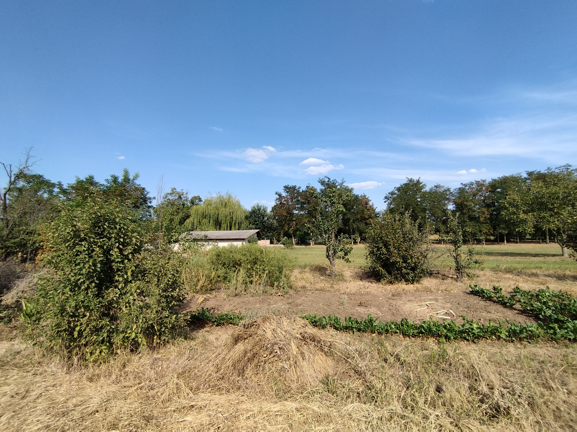 A fájl már létezik a célhelyen: import/kepek/5429665.jpg
For sale plot of land, building lot Rákóczifalva  752 m<sup>2</sup> 3.9 millió Ft