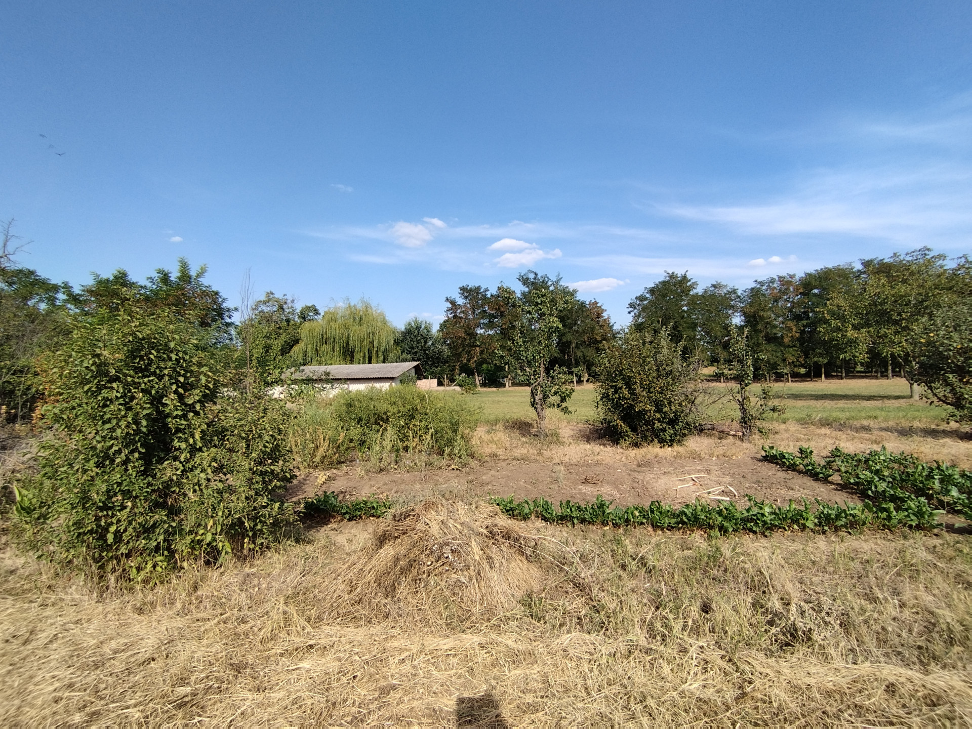 A fájl már létezik a célhelyen: import/kepek/5429667.jpg
For sale plot of land, building lot Rákóczifalva  752 m<sup>2</sup> 3.9 millió Ft