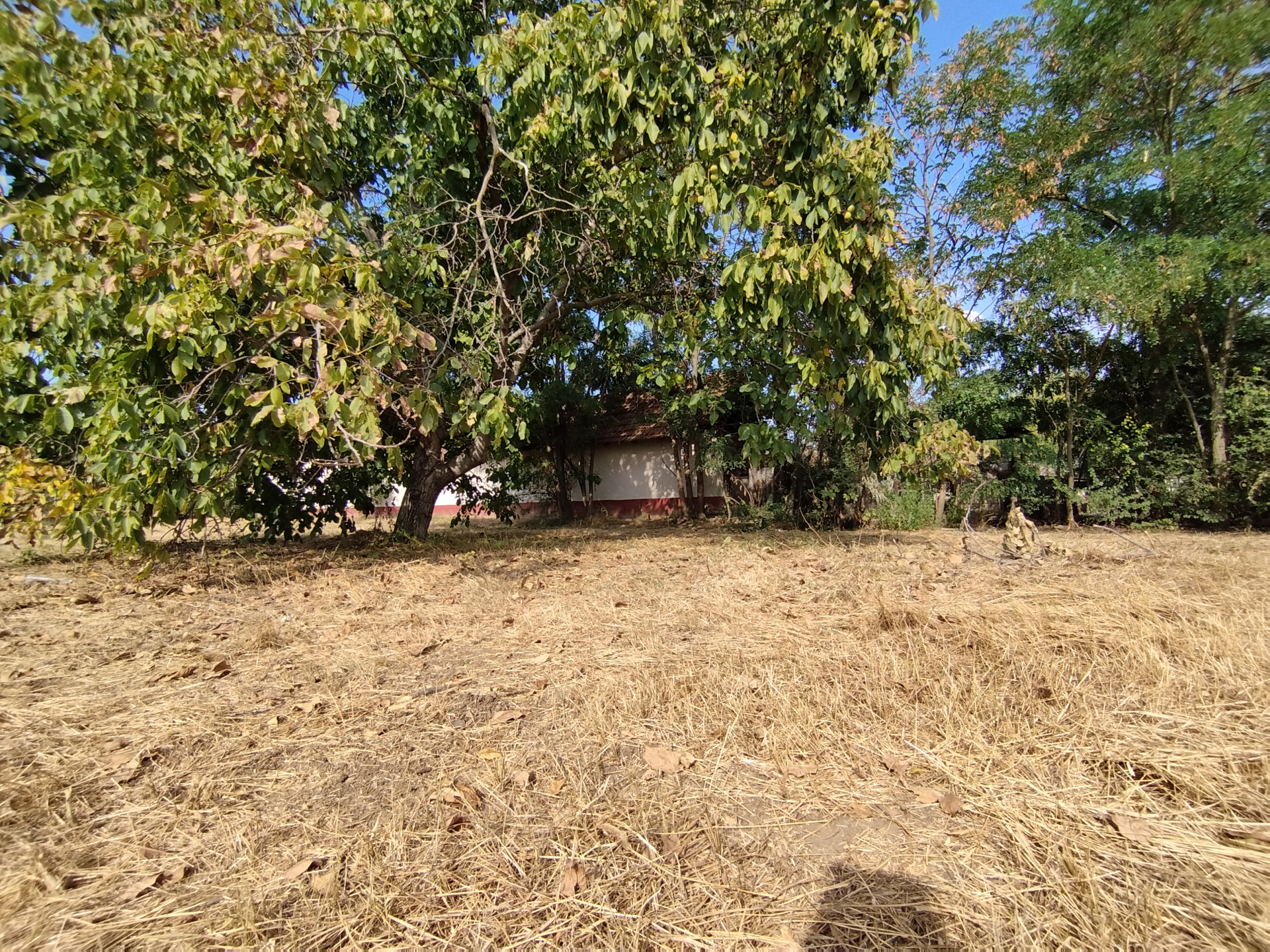 A fájl már létezik a célhelyen: import/kepek/5429677.jpg
For sale plot of land, building lot Rákóczifalva  752 m<sup>2</sup> 3.9 millió Ft