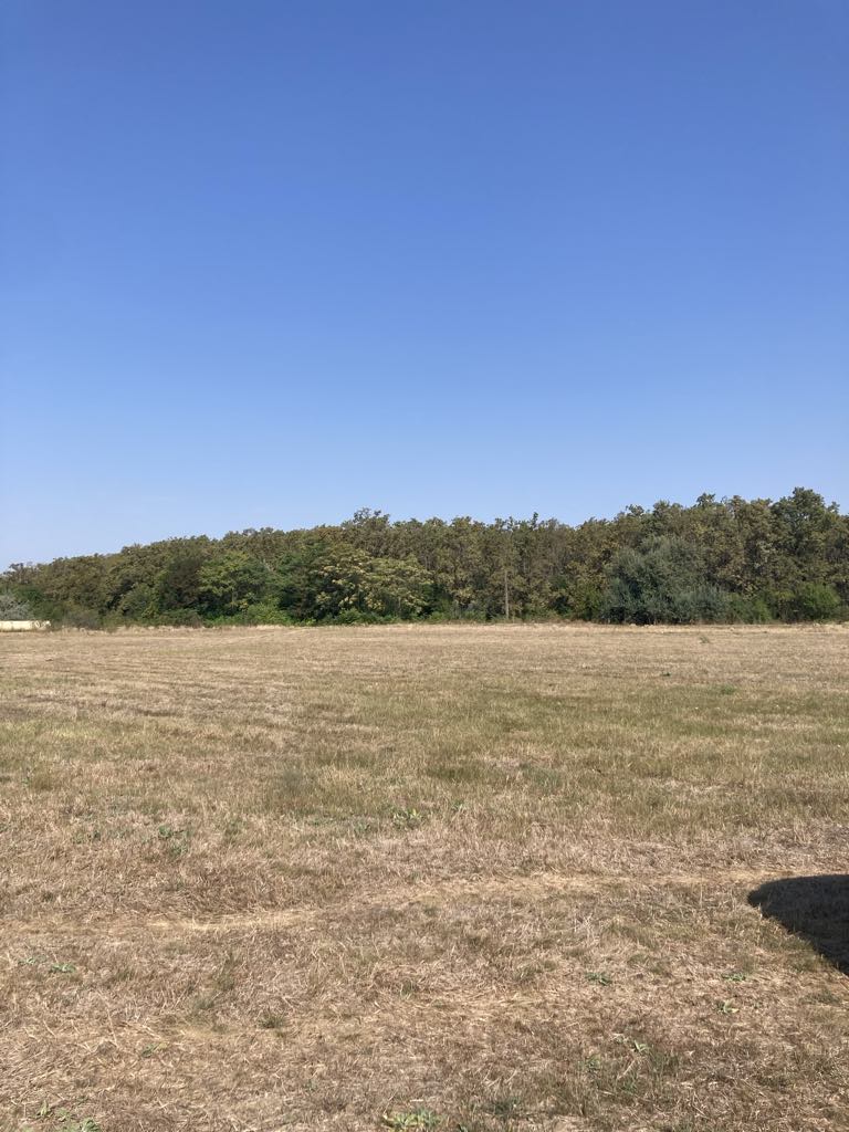 A fájl nem létezik a célhelyen: import/kepek/5487759.jpg. Másolás...
Kép sikeresen importálvaEladó Építési telek Szolnok  3000 m<sup>2</sup> 16.9 millió Ft