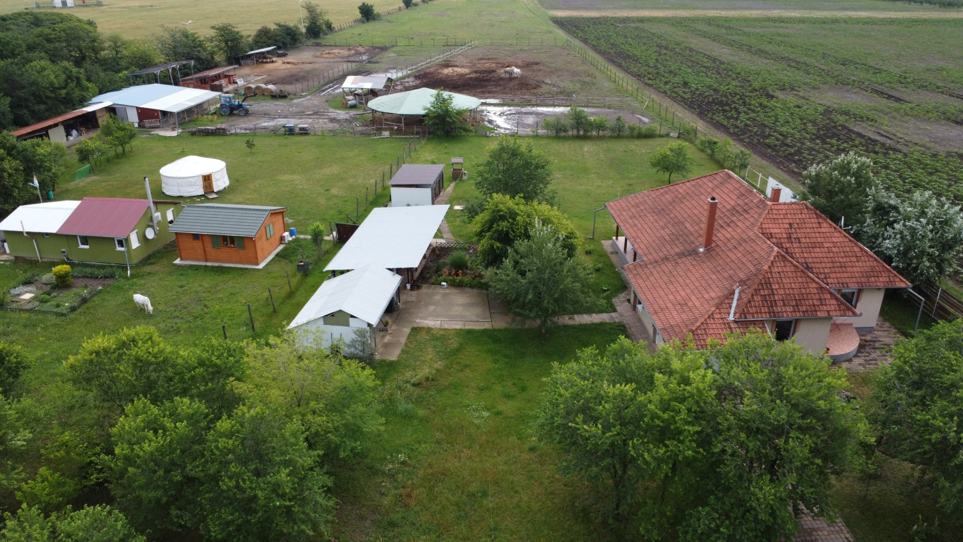 A fájl már létezik a célhelyen: import/kepek/5753754.jpg
For sale Estate Szolnok  251 m<sup>2</sup> 219 millió Ft