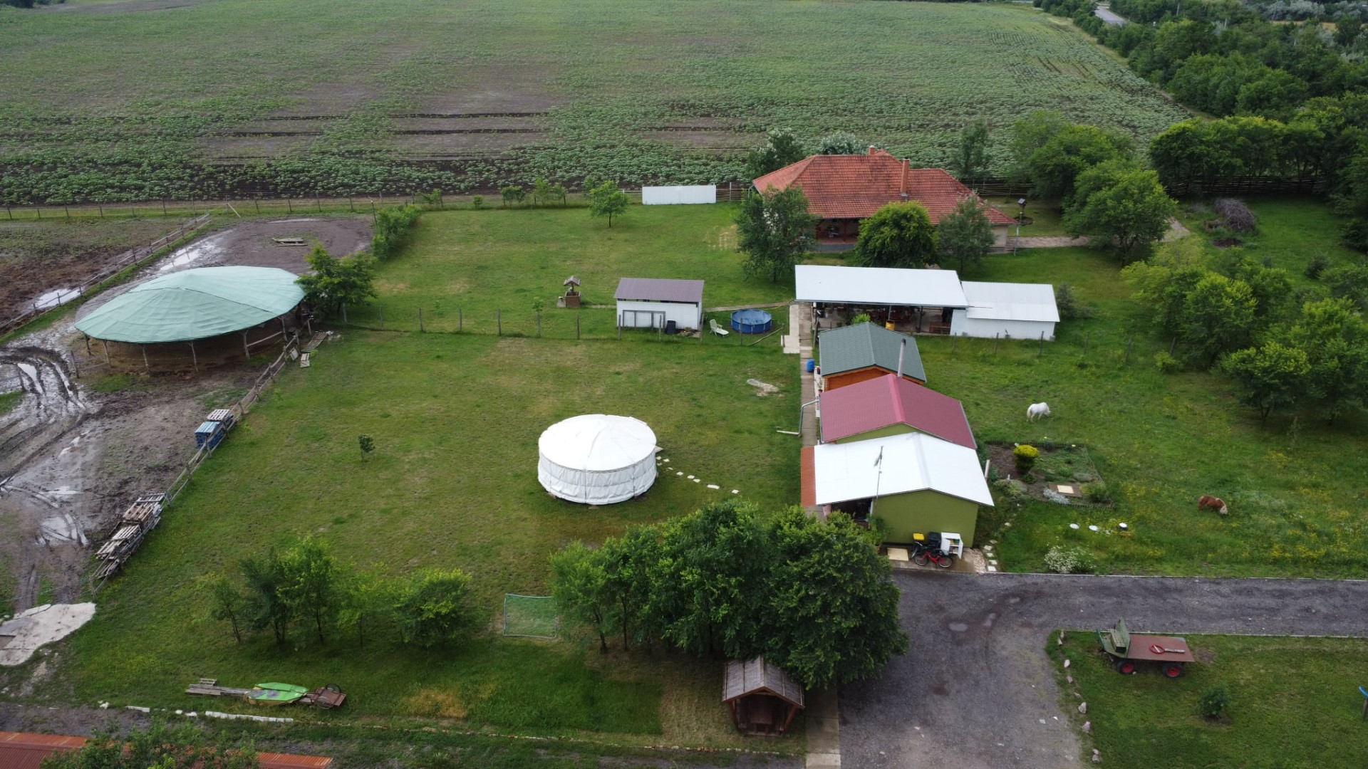 A fájl már létezik a célhelyen: import/kepek/5753755.jpg
For sale Estate Szolnok  251 m<sup>2</sup> 219 millió Ft