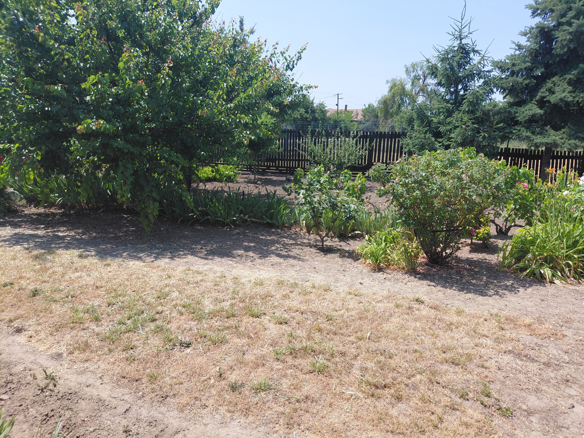 A fájl már létezik a célhelyen: import/kepek/5788465.jpg
For sale house Tiszapüspöki  94 m<sup>2</sup> 16 millió Ft