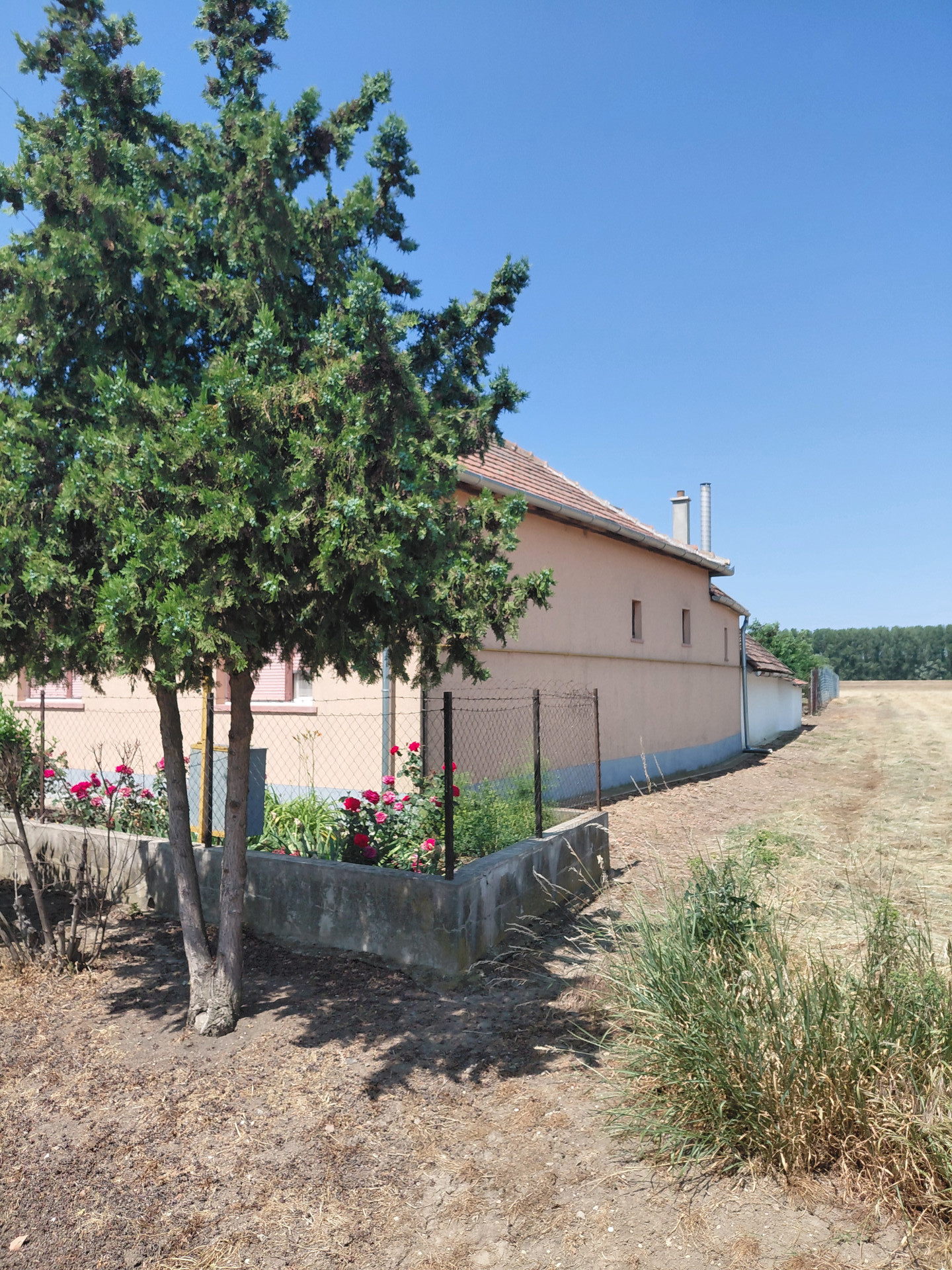 A fájl már létezik a célhelyen: import/kepek/5788471.jpg
For sale house Tiszapüspöki  94 m<sup>2</sup> 16 millió Ft