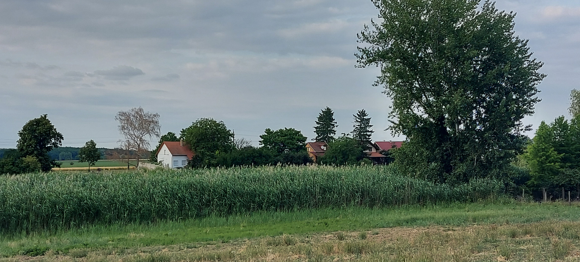 A fájl már létezik a célhelyen: import/kepek/5792627.jpg
For sale house Szolnok  84 m<sup>2</sup> 59.9 millió Ft