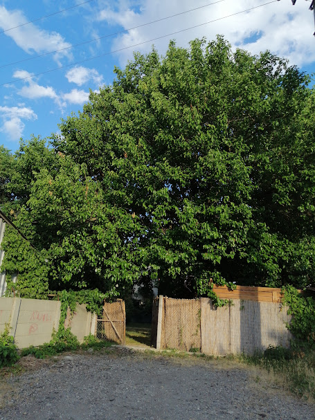A fájl már létezik a célhelyen: import/kepek/5805439.jpg
Eladó Építési telek Taksony  716 m<sup>2</sup> 40 millió Ft