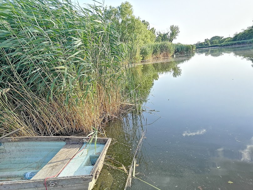 A fájl már létezik a célhelyen: import/kepek/5805442.jpg
Eladó Építési telek Taksony  716 m<sup>2</sup> 40 millió Ft