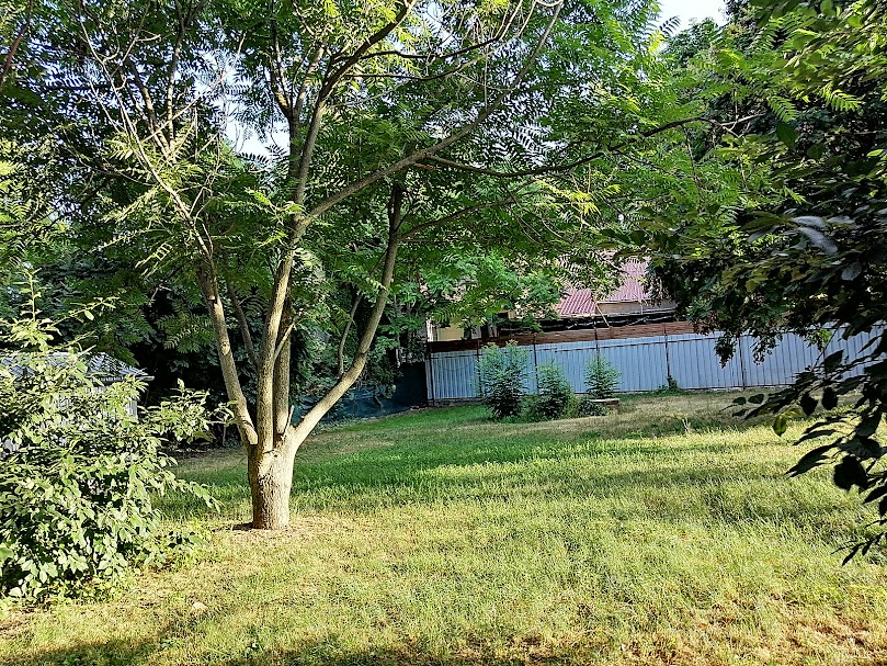 A fájl már létezik a célhelyen: import/kepek/5805452.jpg
Eladó Építési telek Taksony  716 m<sup>2</sup> 40 millió Ft