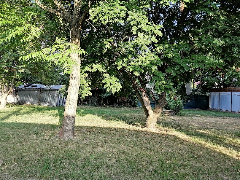 A fájl már létezik a célhelyen: import/kepek/5805455.jpg
Eladó Építési telek Taksony  716 m<sup>2</sup> 40 millió Ft