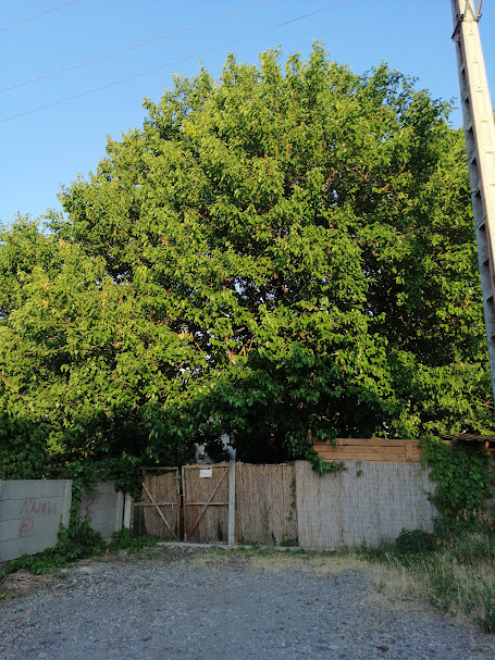 A fájl már létezik a célhelyen: import/kepek/5805459.jpg
Eladó Építési telek Taksony  716 m<sup>2</sup> 40 millió Ft