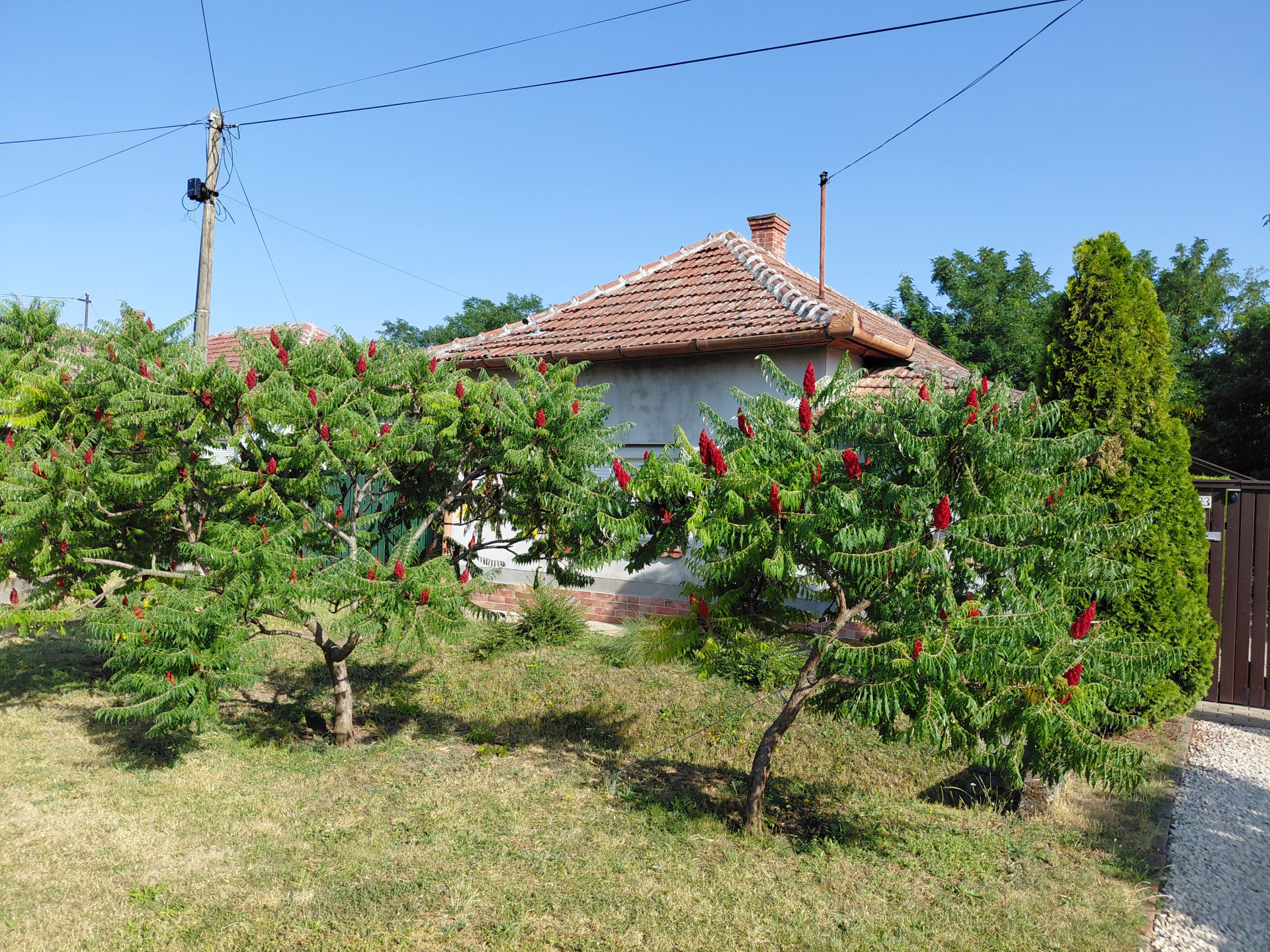 A fájl már létezik a célhelyen: import/kepek/5805632.jpg
For sale house Törökszentmiklós  65 m<sup>2</sup> 18.2 millió Ft