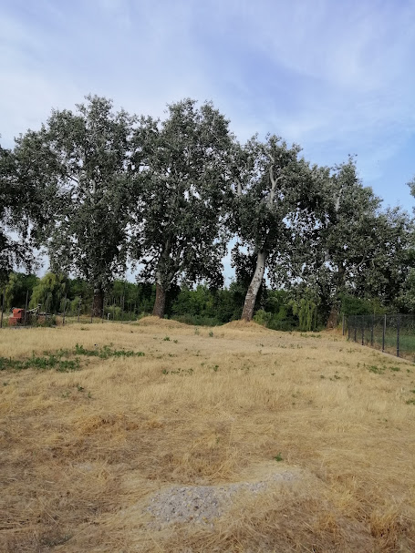 A fájl már létezik a célhelyen: import/kepek/5805853.jpg
Eladó Építési telek Szigetcsép  683 m<sup>2</sup> 45 millió Ft