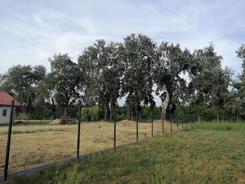 A fájl már létezik a célhelyen: import/kepek/5805866.jpg
Eladó Építési telek Szigetcsép  683 m<sup>2</sup> 45 millió Ft