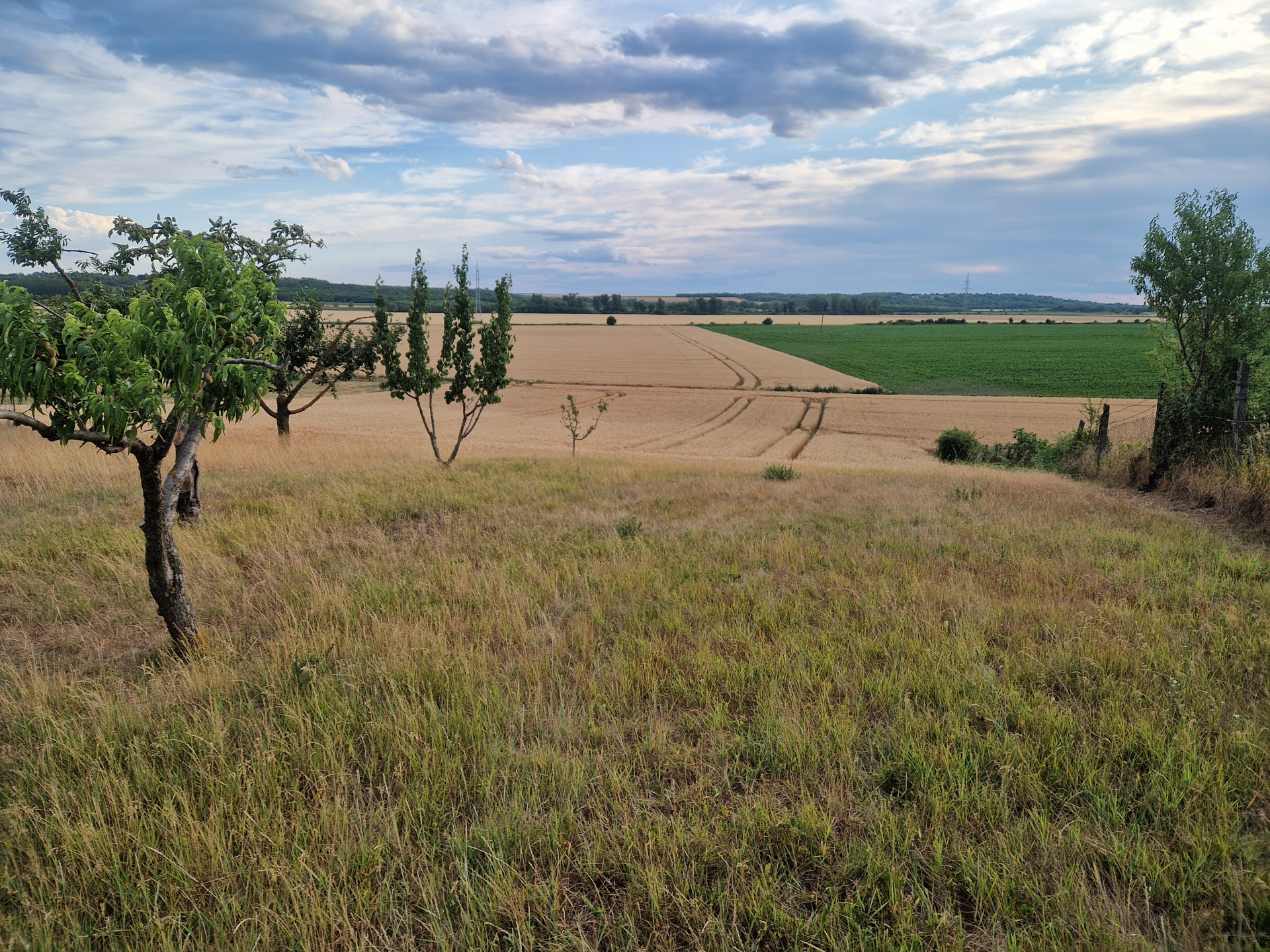 A fájl már létezik a célhelyen: import/kepek/5808469.jpg
Eladó Családi ház Balatonszabadi  150 m<sup>2</sup> 61.9 millió Ft