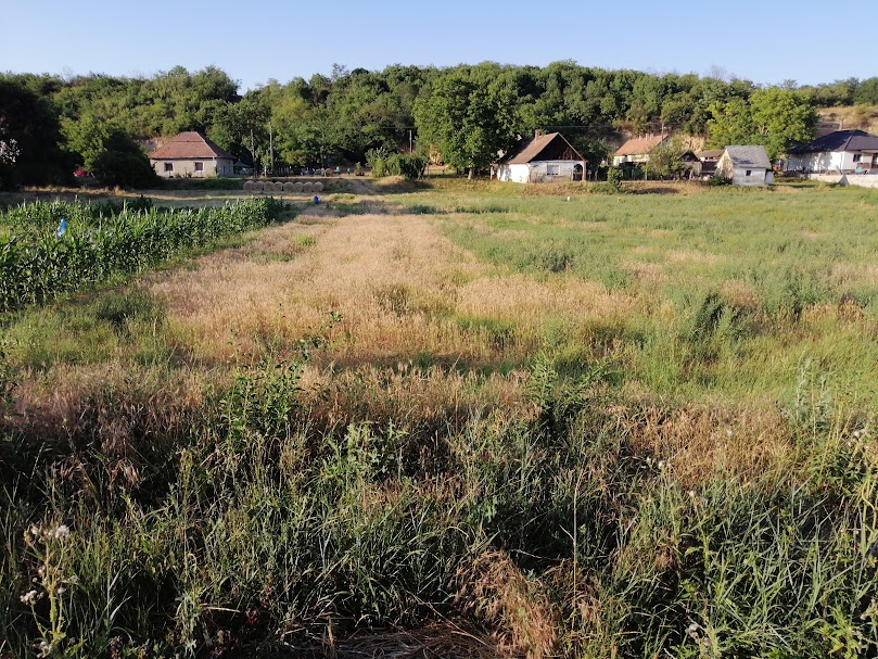 A fájl már létezik a célhelyen: import/kepek/5821979.jpg
Eladó Építési telek Gomba  1000 m<sup>2</sup> 14.5 millió Ft