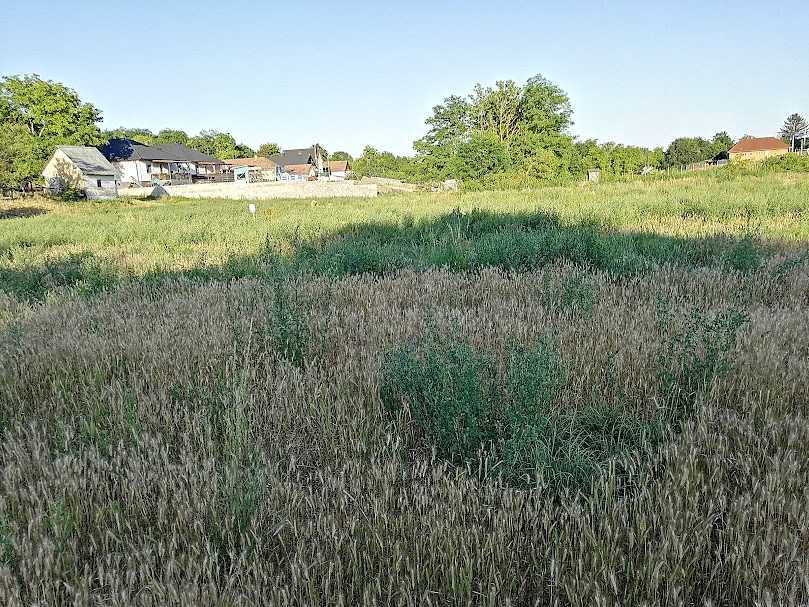 A fájl már létezik a célhelyen: import/kepek/5821981.jpg
Eladó Építési telek Gomba  1000 m<sup>2</sup> 14.5 millió Ft