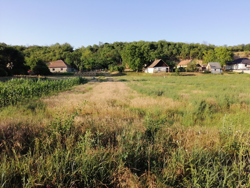 A fájl már létezik a célhelyen: import/kepek/5821983.jpg
Eladó Építési telek Gomba  1000 m<sup>2</sup> 14.5 millió Ft
