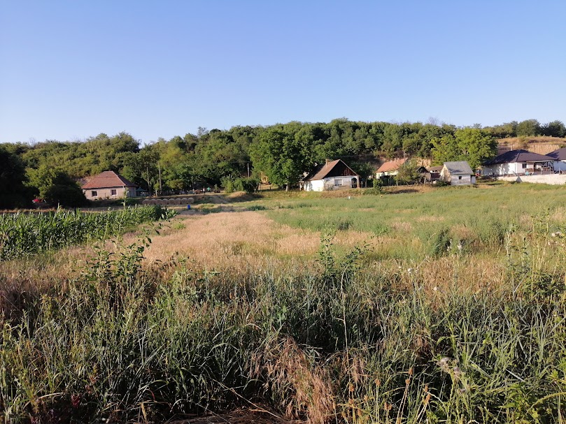 A fájl már létezik a célhelyen: import/kepek/5821988.jpg
Eladó Építési telek Gomba  1000 m<sup>2</sup> 14.5 millió Ft