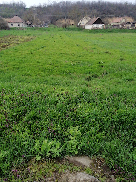 A fájl már létezik a célhelyen: import/kepek/5824477.jpg
Eladó Építési telek Gomba  1203 m<sup>2</sup> 17.4 millió Ft