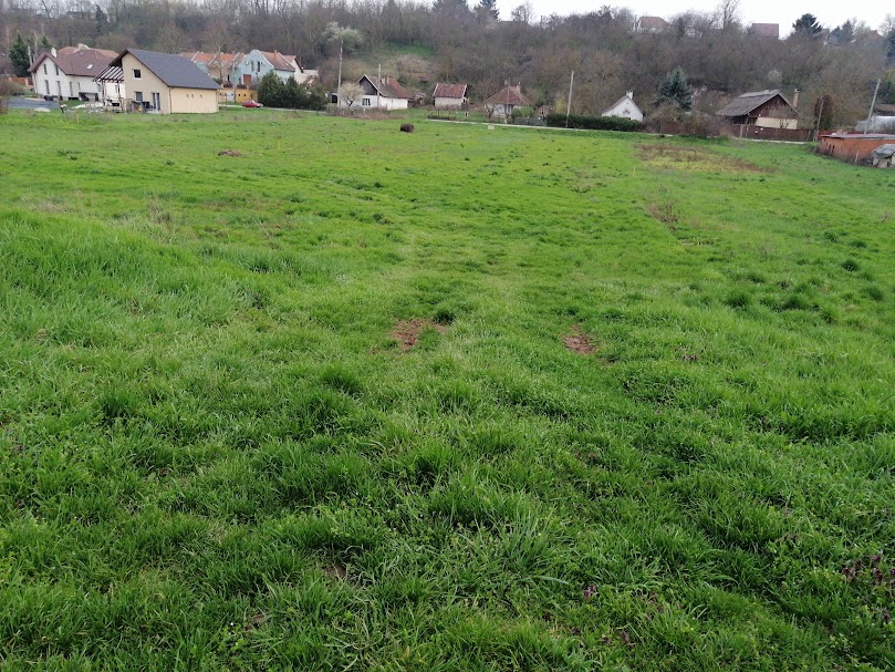 A fájl már létezik a célhelyen: import/kepek/5824575.jpg
Eladó Építési telek Gomba  1103 m<sup>2</sup> 16 millió Ft