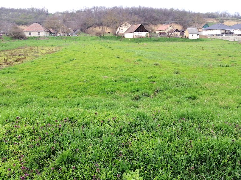 A fájl már létezik a célhelyen: import/kepek/5824577.jpg
Eladó Építési telek Gomba  1103 m<sup>2</sup> 16 millió Ft