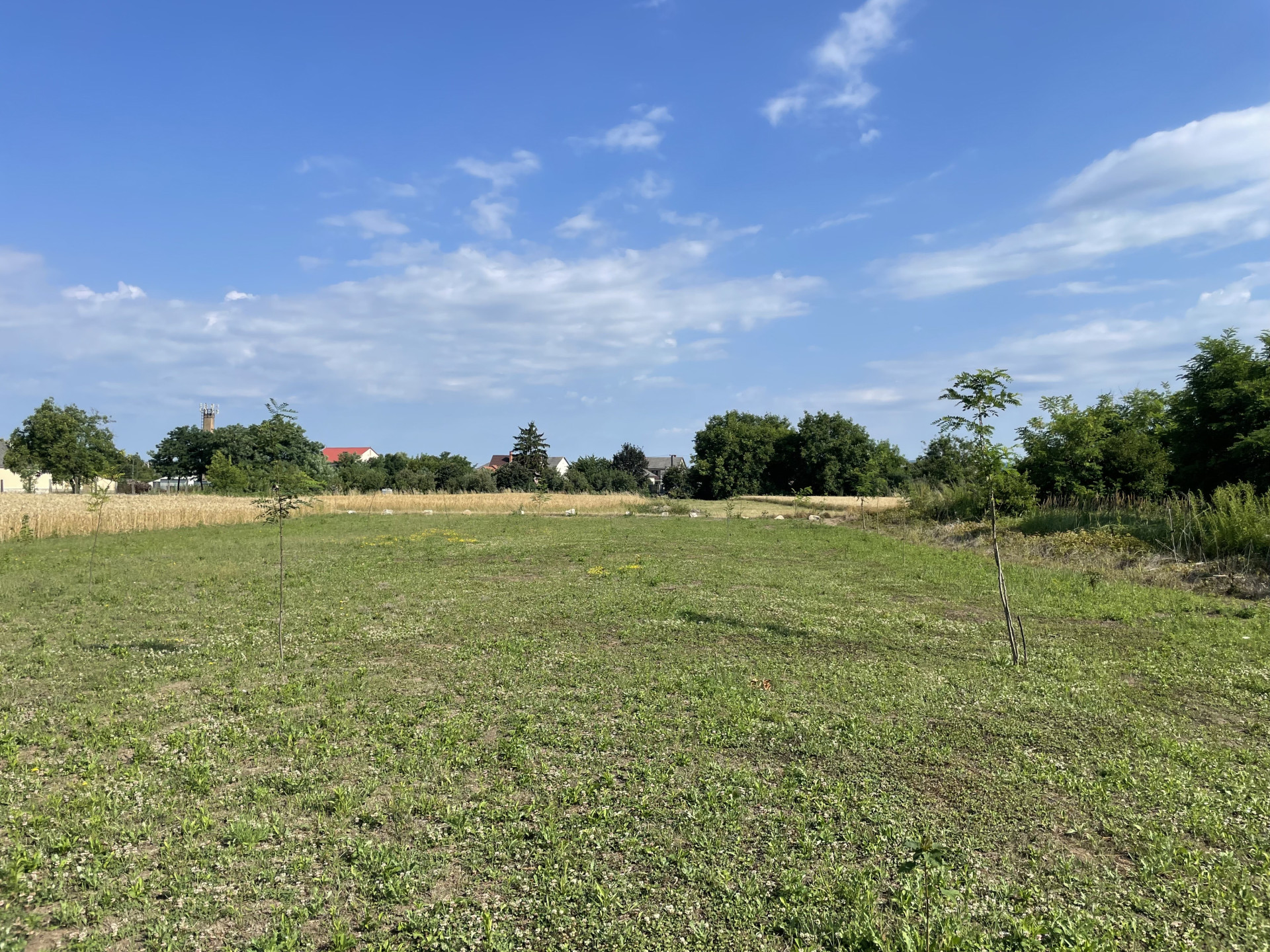 A fájl már létezik a célhelyen: import/kepek/5827760.jpg
Eladó Családi ház Mezőzombor  81 m<sup>2</sup> 13.2 millió Ft