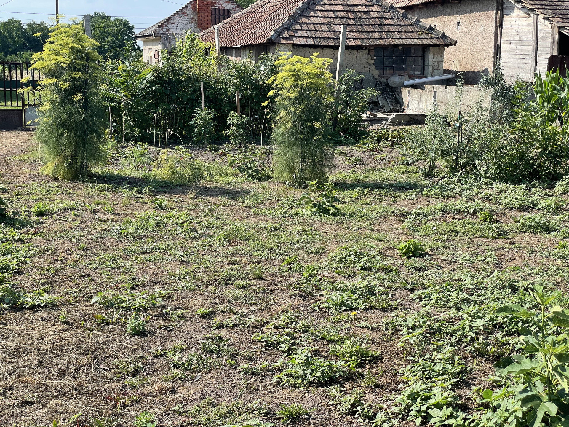 A fájl már létezik a célhelyen: import/kepek/5827762.jpg
Eladó Családi ház Mezőzombor  81 m<sup>2</sup> 13.2 millió Ft