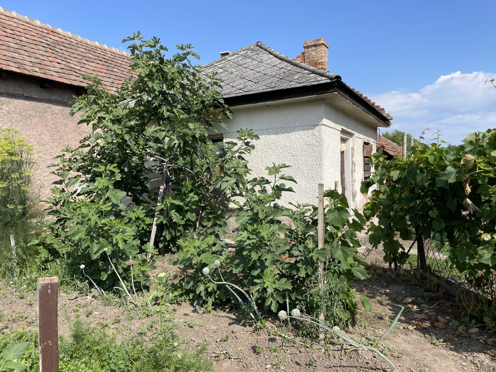 A fájl már létezik a célhelyen: import/kepek/5827765.jpg
Eladó Családi ház Mezőzombor  81 m<sup>2</sup> 13.2 millió Ft