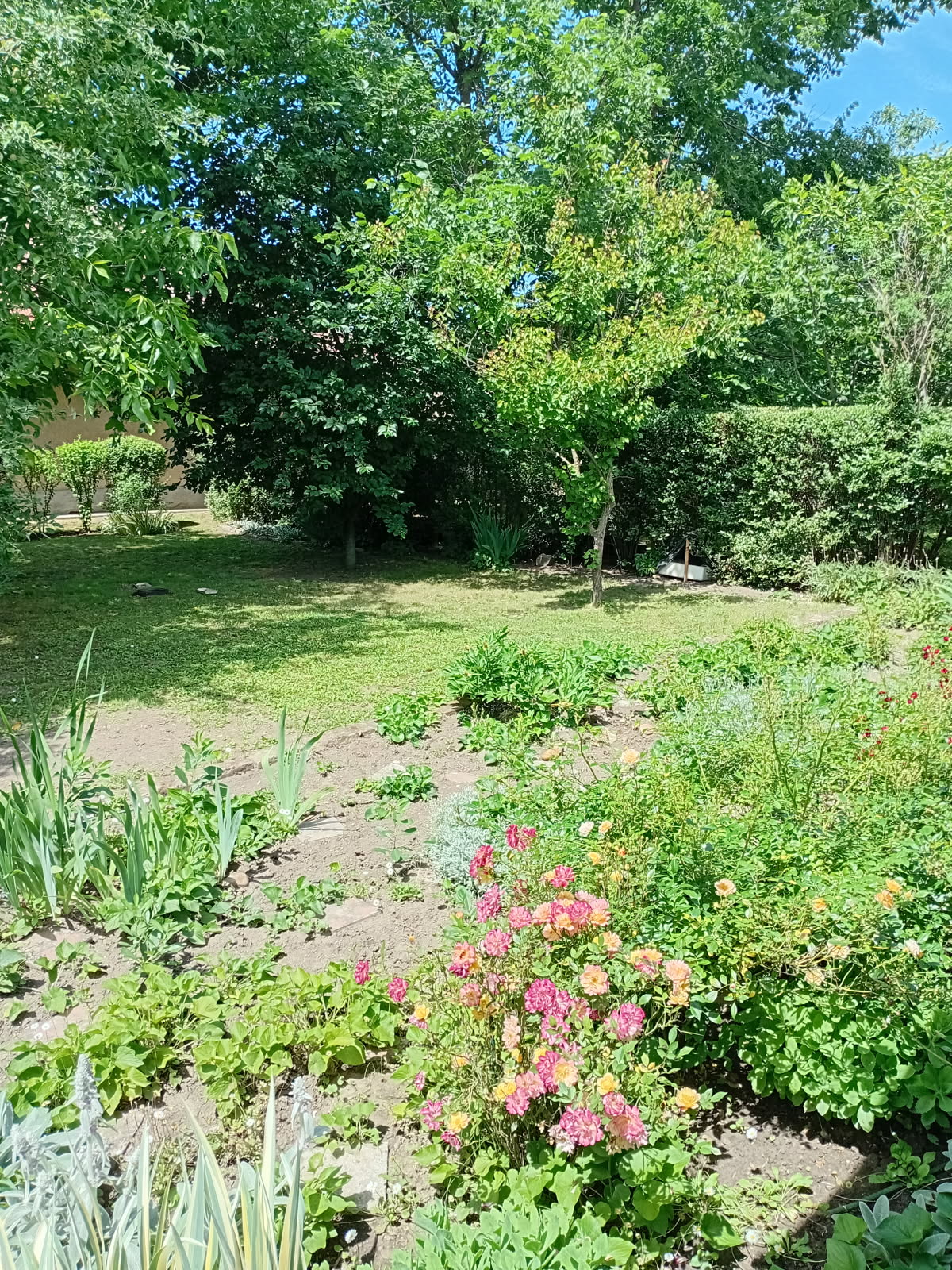 A fájl már létezik a célhelyen: import/kepek/5828308.jpg
For sale recreational home, summer house Gyomaendrőd  85 m<sup>2</sup> 19 millió Ft