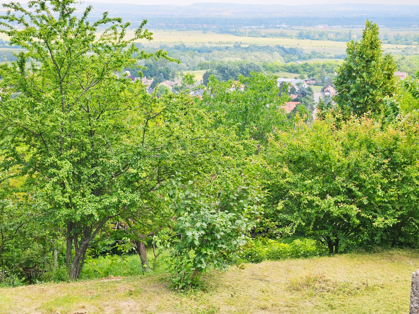 A fájl már létezik a célhelyen: import/kepek/5828740.jpg
For sale house Pomáz  154 m<sup>2</sup> 155 millió Ft
