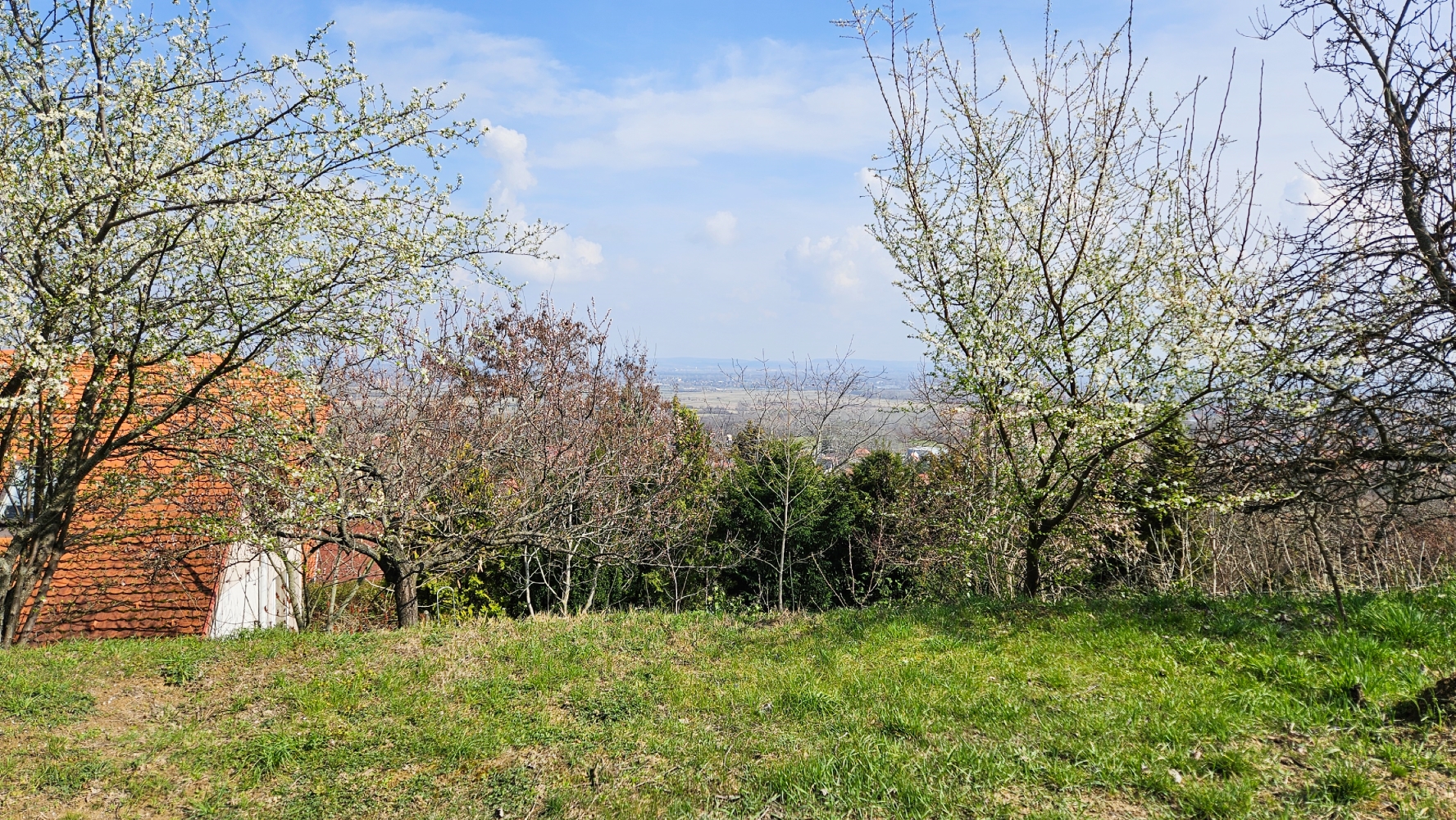 A fájl már létezik a célhelyen: import/kepek/5828741.jpg
For sale house Pomáz  154 m<sup>2</sup> 155 millió Ft