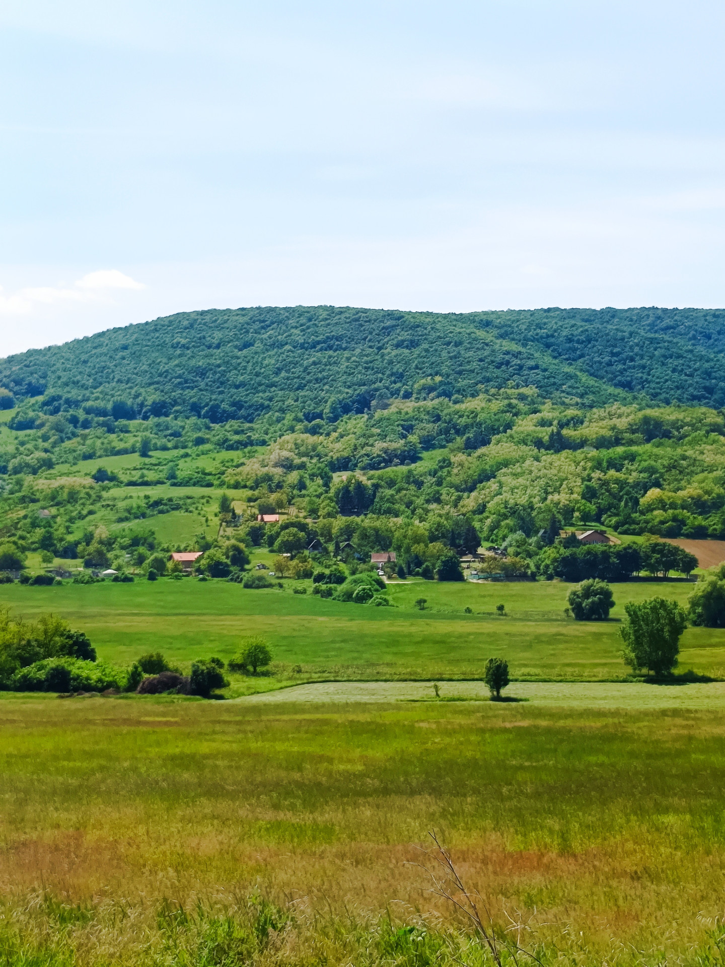 A fájl már létezik a célhelyen: import/kepek/5831973.jpg
Eladó Építési telek Esztergom  720 m<sup>2</sup> 13.9 millió Ft