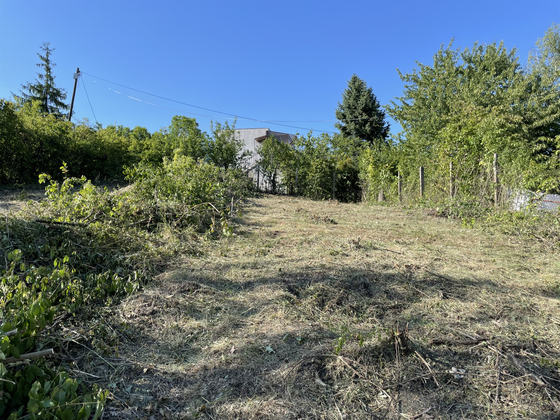 A fájl már létezik a célhelyen: import/kepek/5833454.jpg
Eladó Építési telek Miskolc  770 m<sup>2</sup> 6.9 millió Ft