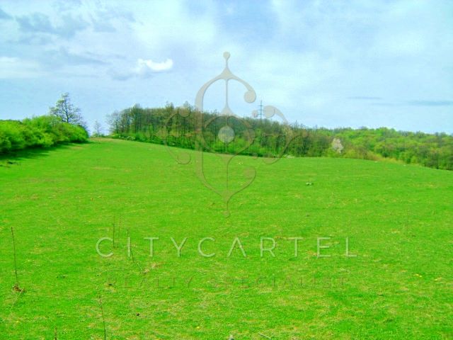 A fájl már létezik a célhelyen: import/kepek/vizjeles_2830298.jpg
For sale Industrial area Bicske  20000 m<sup>2</sup> 2147.483647 millió Ft