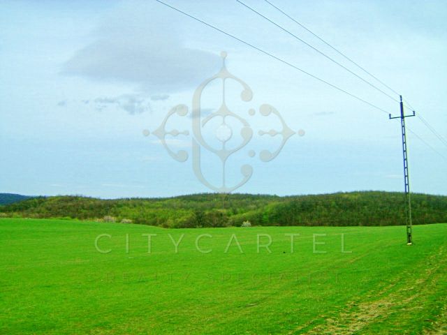 A fájl már létezik a célhelyen: import/kepek/vizjeles_2830300.jpg
For sale Industrial area Bicske  20000 m<sup>2</sup> 2147.483647 millió Ft