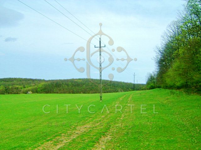 A fájl már létezik a célhelyen: import/kepek/vizjeles_2830301.jpg
For sale Industrial area Bicske  20000 m<sup>2</sup> 2147.483647 millió Ft