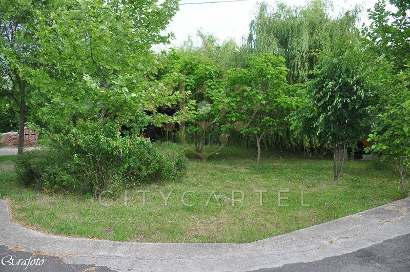 A fájl már létezik a célhelyen: import/kepek/vizjeles_3353223.jpg
Eladó Építési telek Debrecen  30000 m<sup>2</sup> 291 millió Ft