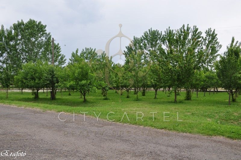 A fájl már létezik a célhelyen: import/kepek/vizjeles_3353225.jpg
Eladó Építési telek Debrecen  30000 m<sup>2</sup> 291 millió Ft