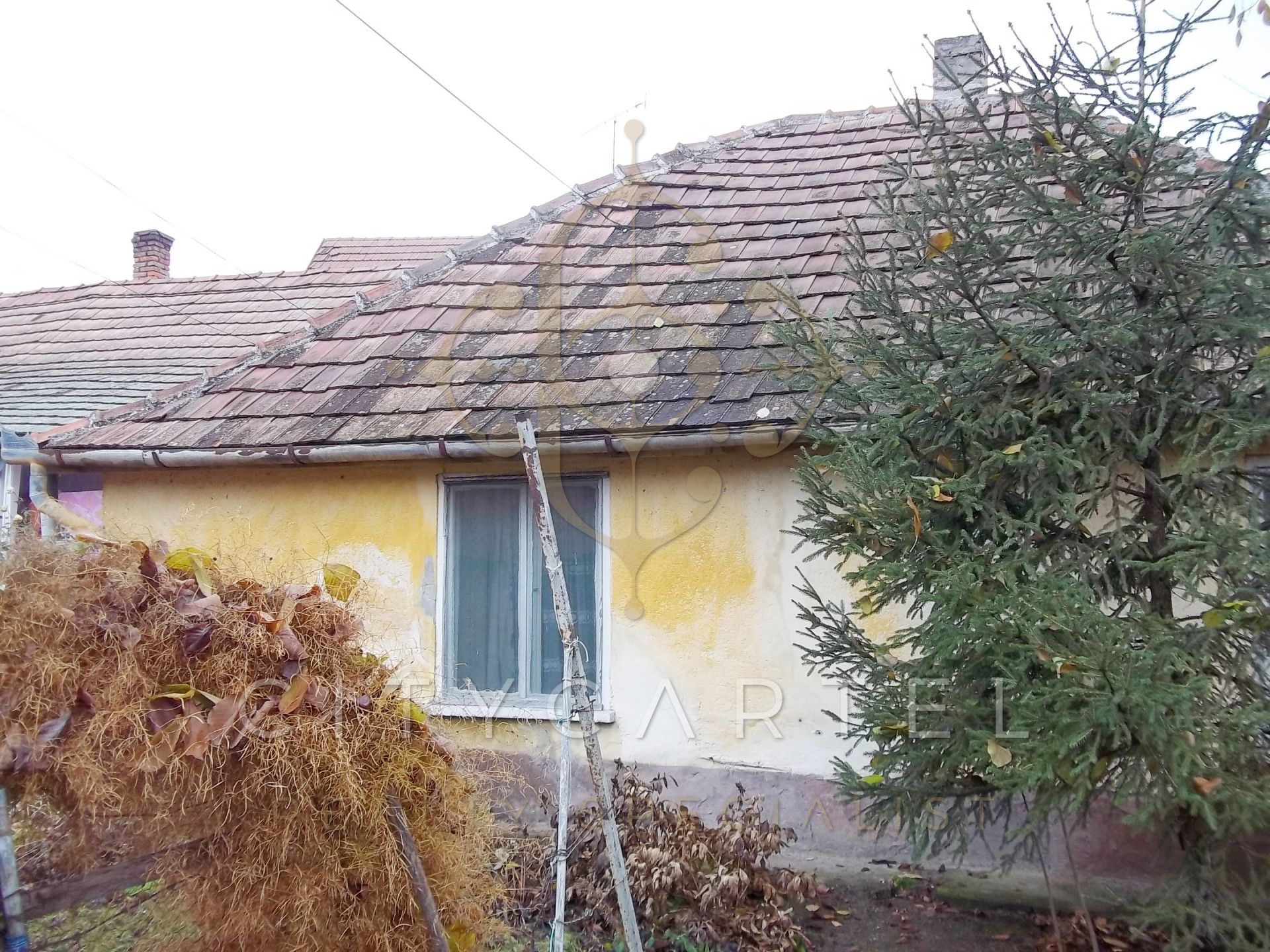 A fájl már létezik a célhelyen: import/kepek/vizjeles_3406682.jpg
For sale house Solt  73 m<sup>2</sup> 7.49 millió Ft