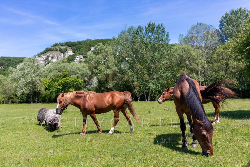 A fájl már létezik a célhelyen: import/kepek/vizjeles_3772312.jpg
Eladó Családi ház Nagyegyháza  1440 m<sup>2</sup> 5999000 EUR