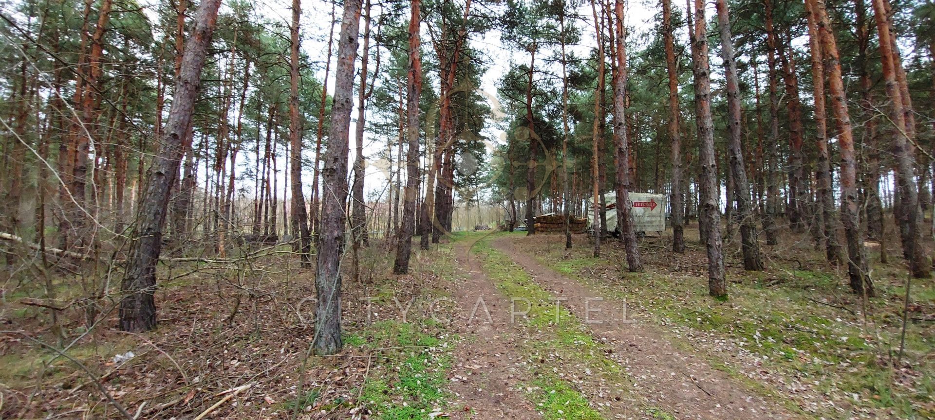 A fájl már létezik a célhelyen: import/kepek/vizjeles_3820548.jpg
Eladó Külterület Paks  13684 m<sup>2</sup> 221.7 millió Ft