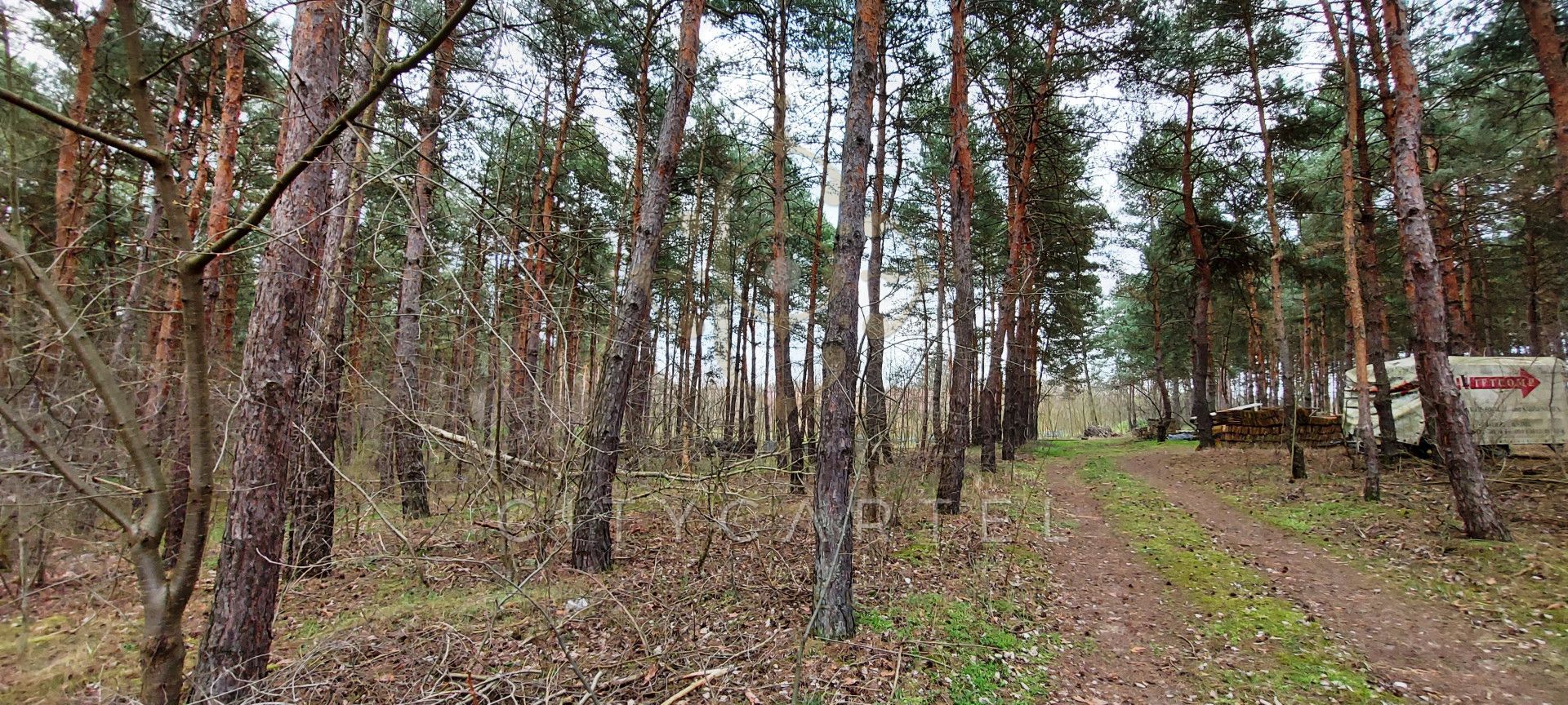 A fájl már létezik a célhelyen: import/kepek/vizjeles_3820549.jpg
Eladó Külterület Paks  13684 m<sup>2</sup> 221.7 millió Ft