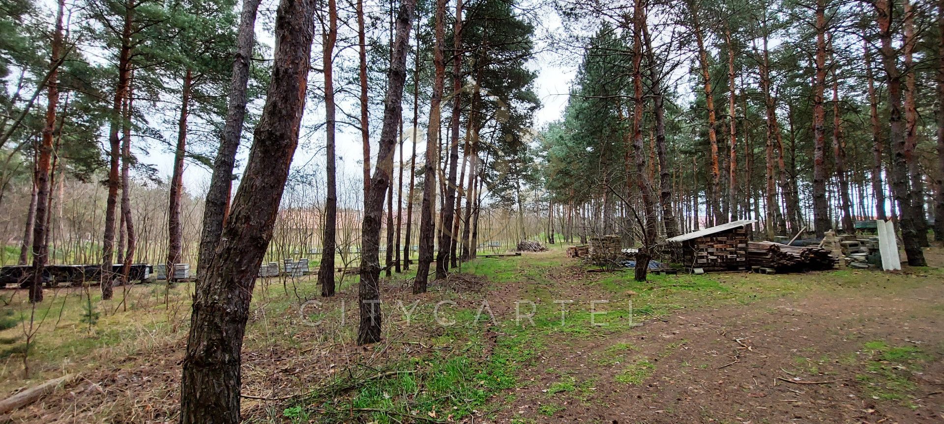 A fájl már létezik a célhelyen: import/kepek/vizjeles_3820550.jpg
Eladó Külterület Paks  13684 m<sup>2</sup> 221.7 millió Ft