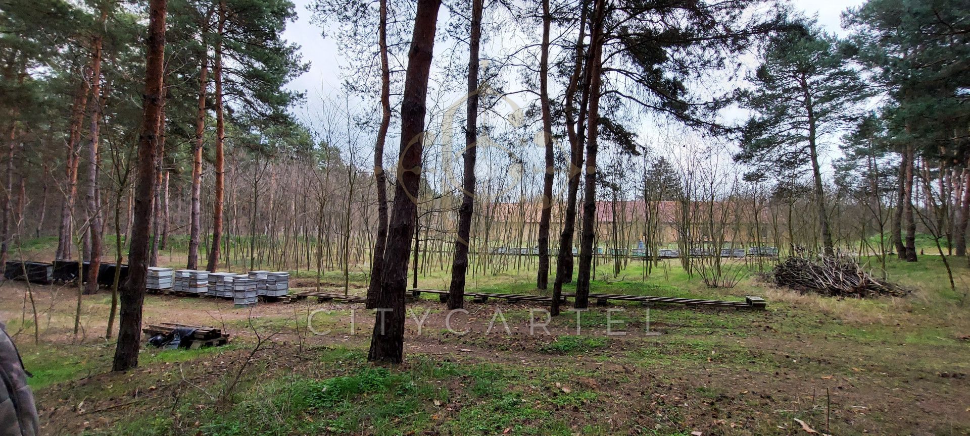 A fájl már létezik a célhelyen: import/kepek/vizjeles_3820552.jpg
Eladó Külterület Paks  13684 m<sup>2</sup> 221.7 millió Ft