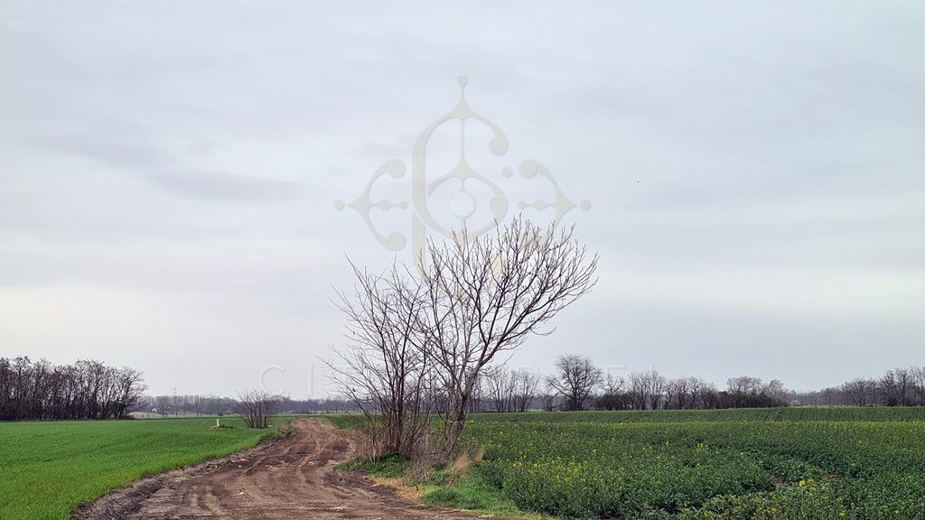 A fájl már létezik a célhelyen: import/kepek/vizjeles_3840701.jpg
For sale Industrial area Áporka  25881 m<sup>2</sup> 96 millió Ft
